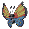Dark Vivillon (Ocean)
